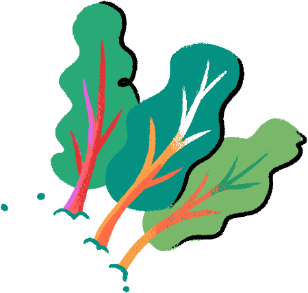 Illustration of rainbow chard, decorating the video frame